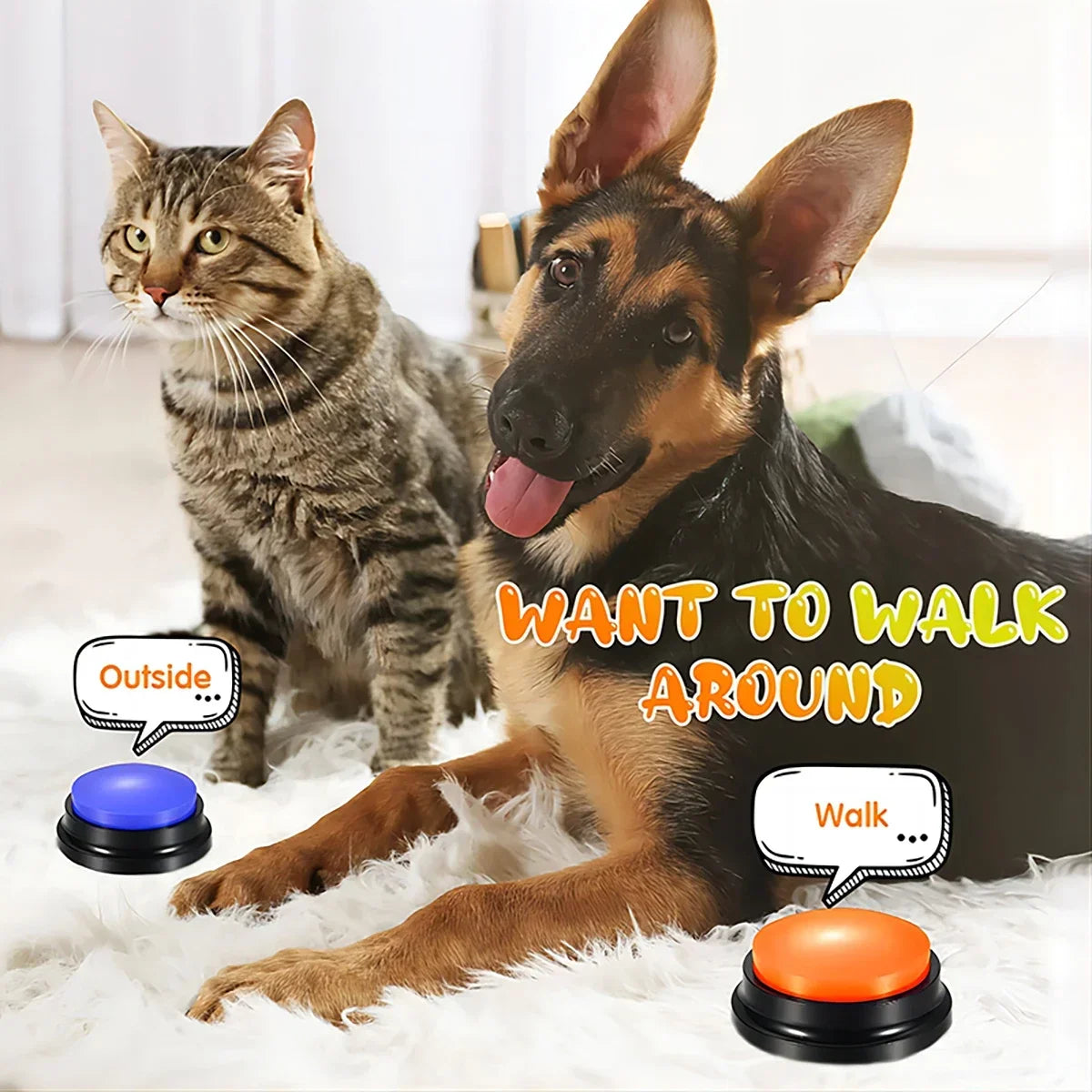 Dog Button with Multiple Colors, Optional Training, Quiz, Information Exchange, Press, Human Pet Interactive Toy